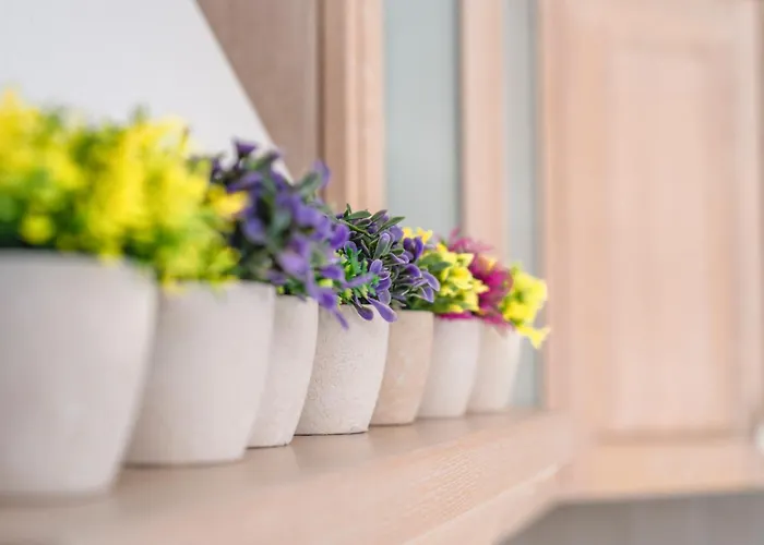 Lunar Dom wakacyjny *