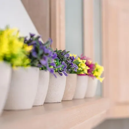 Lunar Holiday home *